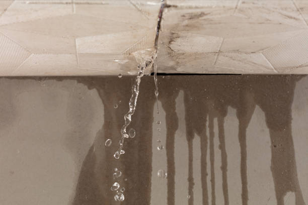 Professional Flood Damage Cleanup technician working in Vista, CA
